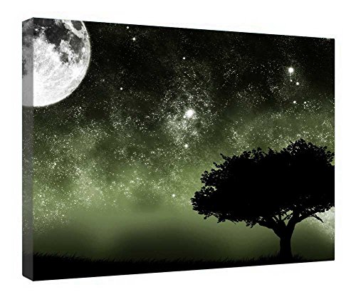 Impression sur toile Night Shadows lune décoration murale cadre bois