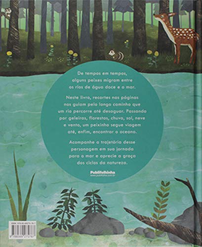 Rio. Uma Jornada Épica Para o Mar