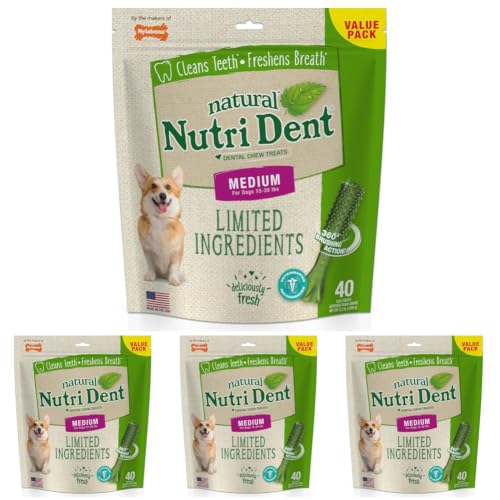 Image of Nylabone Nutri Dent Dog Dental Treats - Natural Dog Teeth Cleaning & Breath Freshener - Dental Treats for Dogs - Fresh Breath Flavor, Medium - 40 Count, 36.8 Ounce (Pack of 4)