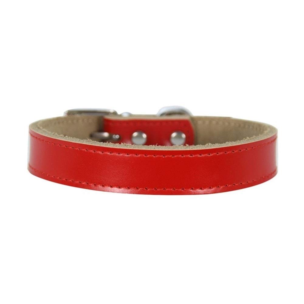 Lederhalsband Für Hunde/Katzen – Verstellbar, Mit Nieten, Größe L (30–39 Cm Halsumfang)