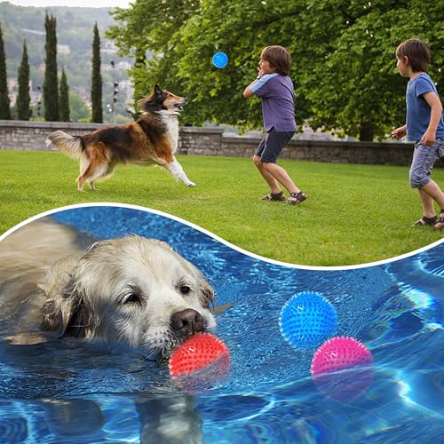 6 pelotas mordibles con sonido para perros medianos miniatura 6