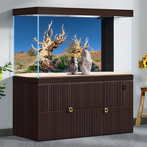 Pine Trees Reptile Tank Background Rocky Mountain Ancient Bristlecone Pine Forest Aquarium Background Blue Sky Gobi Barren Thorns Fish Tank Background Pine Tree Reptile Enclosure Background 36x18in
