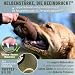 GIZZY® DAS ORIGINAL I Futterdummy Hunde I Robuster Hunde Futterbeutel für alle Rassen I Dummy Hundetraining mit Leckerlies - Die Erziehungshilfe für Hunde I Futterbeutel Hundetraining - Hunde Zubehör