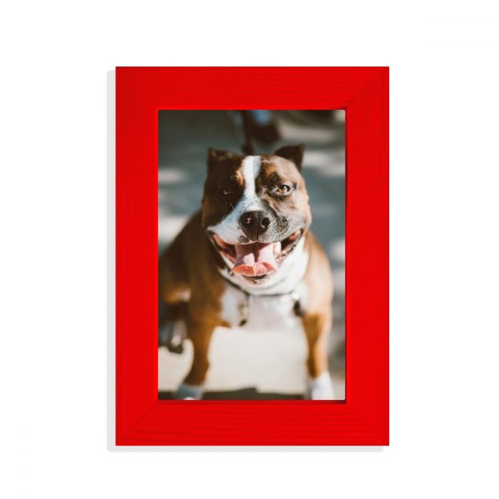 Cadre photo bouledogue rouge effrayant idéal pour décorer un bureau de style industriel