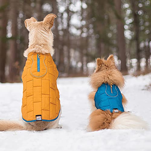 Kurgo Loft Dog Jacket - Reversible Cozy Coat For Outdoor Adventures - Water Resistant - Athletic Fit...