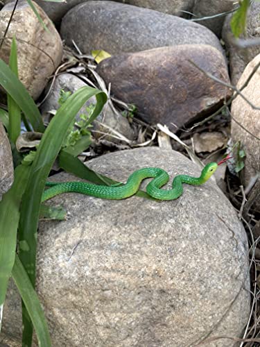 Hohajiu Fake Snake Toy Rubber Realistic Snake Toy 10 Pcs Lifelike Snake Toy Gag Gift For Halloween, April Fool’s Day Party Decroation #TOP4