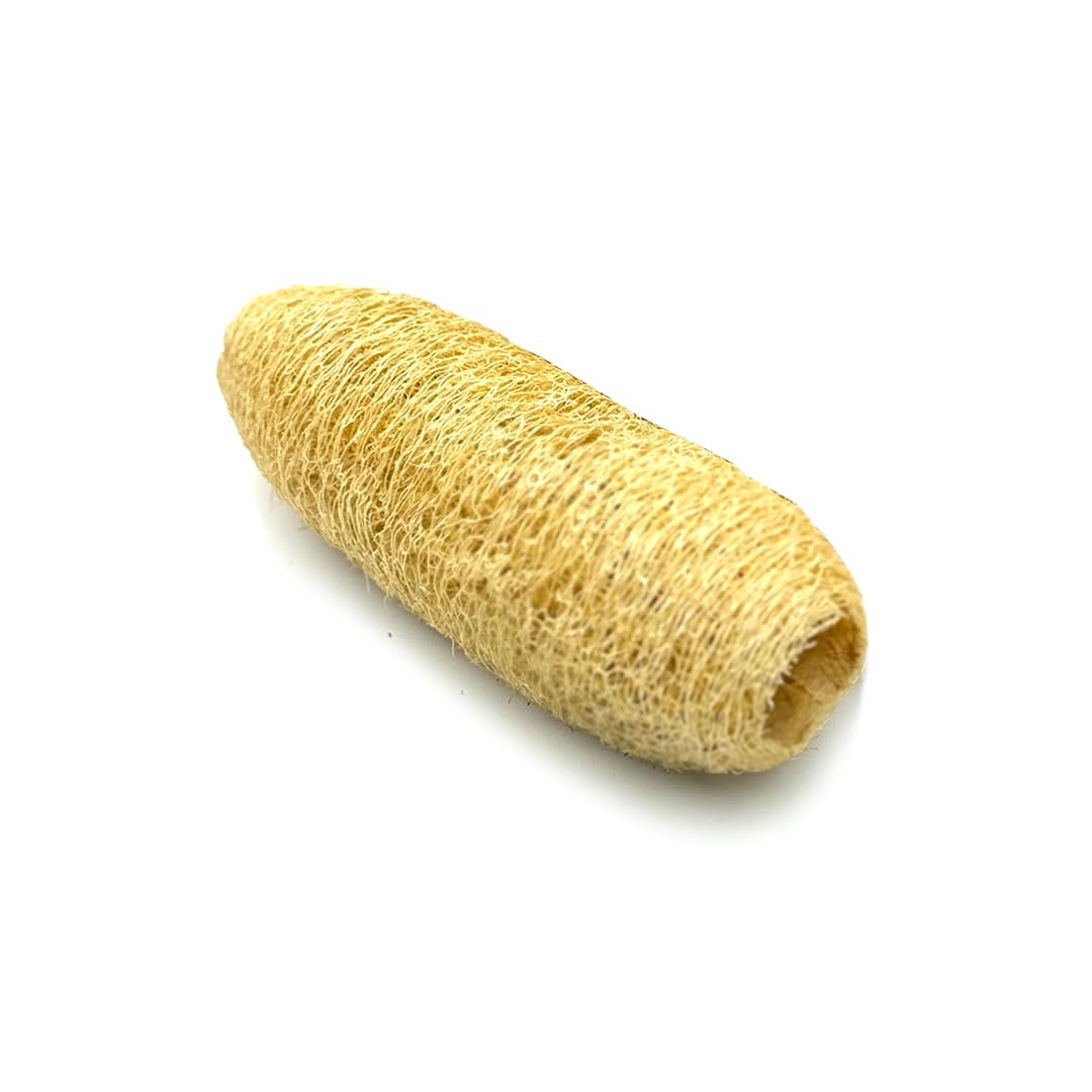Deyga Loofah/Loufah Body Scrubber | Natural Skin Friendly, Light Weight, Chemical free, Eco Friendly Organic Loofah Sponges for Bathing (6.32 Grm)-picture-51