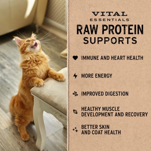 Vital Essentials Freeze Dried Cat Food, Chicken Crunchy Mini Nibs, 12 oz - Image 4