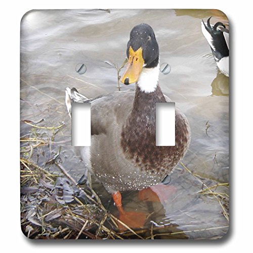 Interrupteur à baïonnette colvert pour remplacer une plaque murale standard - 3