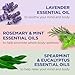 Dr Teal's Pure Epsom Salt, Lavender, Eucalyptus & Wellness Trio Bundle, 3 lbs (Pack of 3)