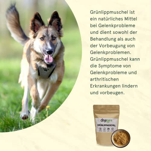 Grünlippmuschelpulver Hund - 100% reines Grünlippmuschelextrakt zur Unterstützung der Gelenke - Neuseeländische Grünlippmuschel als Gelenkpulver für Hunde - Pulver als Futterzusatz hochdosiert