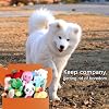 LEGEND SANDY Squeaky Plush Dog Toy Pack for Puppy, Small Stuffed Puppy Chew Toys 12 Dog Toys Bulk with Squeakers, Cute Soft Pet Toy for Small Medium Size Dogs