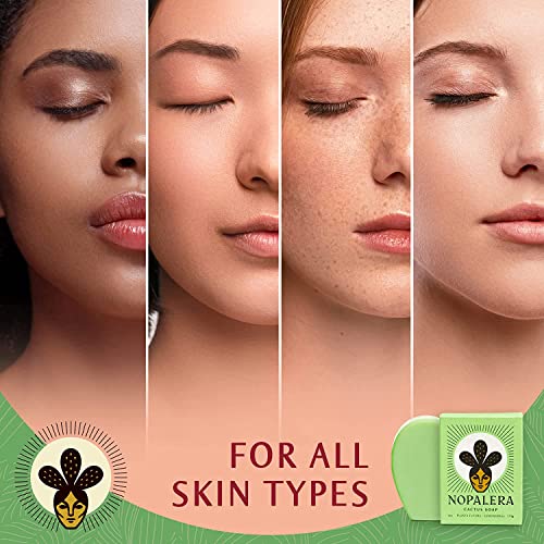 Nopalera Planta Futura Cactus Soap, Lemongrass & Prickly Pear Cactus, Artisan Bar Soap For Body And Face, Vegan, Cruelty-Free, Palm Oil Free, Natural Fragrance, Green, 4 Oz (Pack Of 1) - As Seen On Shark Tank #TOP3