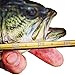Fishing Ruler Decal 2-Pack | 36” Transparent Rod Fish Measuring Sticker | Stick-On Fish Measurement for All Rod Types | Made in USA | Weather and Waterproof | Easy Install | Durable Fishing Tool