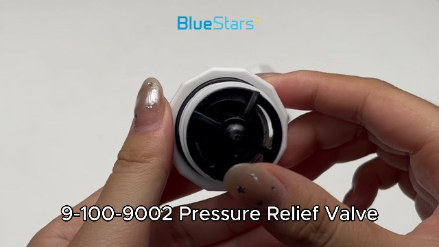 Amazon.com: BlueStars 9-100-9002 Pressure Relief Valve Kit - for Amazon.com: BlueStars 9-100-9002 Pressure Relief Valve Kit - for