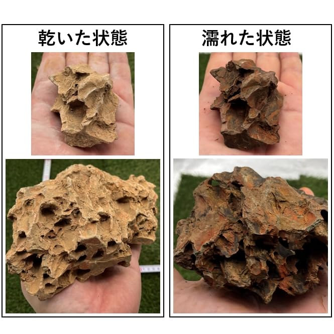 Amazon | 気孔石 黄虎石 蜂炎石 親石付 4キロ、6キロ、10キロ 水槽
