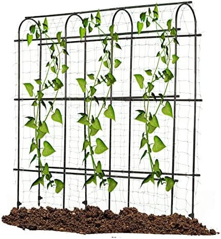 Garden Trellis for Climbing Plants Outdoor | Metal Plant Support Structure for Outdoor Vegetables/Fruits/Flowers VInes | Large Garden Arch Cucumber Trellis With Nylon Garden Netting, 6ft x 6 ft, Black