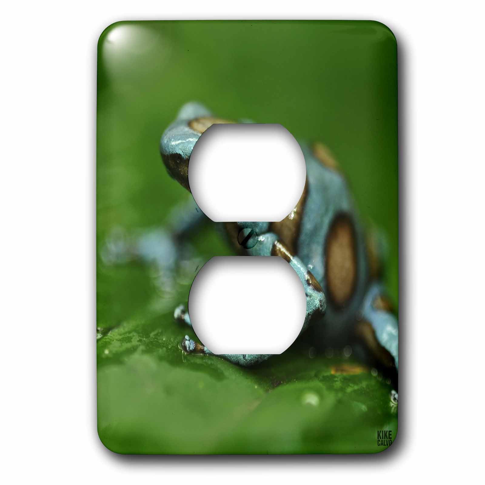 Plaque 2 prises grenouille arborescente lsp_10378_6 anti-monotonie