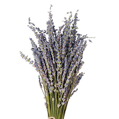 Tallos De Lavanda Secos, Flores Secas Originales para Artesanía, Arreglo De Flores De Perfume De Interior Símbolo de amor para Decoración De Boda Fiesta En Casa De Vacaciones