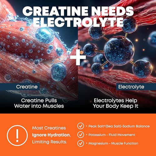 Image of Peak Revival-X Creatine Monohydrate Powder + Electrolyte Hydration Salt Powder, Orange Sherbet - Gluten-Free, Vegan, Non-GMO Supplement, 5000mg (5g) Per Serving, 30 Servings, 324g Per Container