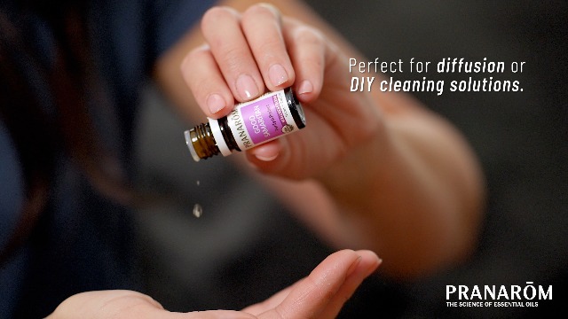 Amazon.com: Pranarom - Good Samaritan Essential Oil Blend (5ml