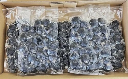 北海道紋別市 紋別産しじみ1kg