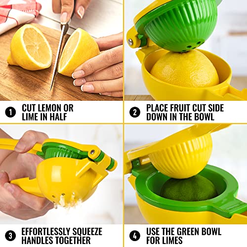 Best Manual Citrus Juicer 10 Buying Guide [2023]
