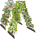 Rankgitter für Tomaten & Gurken, 2 Stück 150cm-Metall Pflanzenständer Rankhilfe Set, A-Form Gitterspalier für Kletterpflanzen, Gemüse & Obst