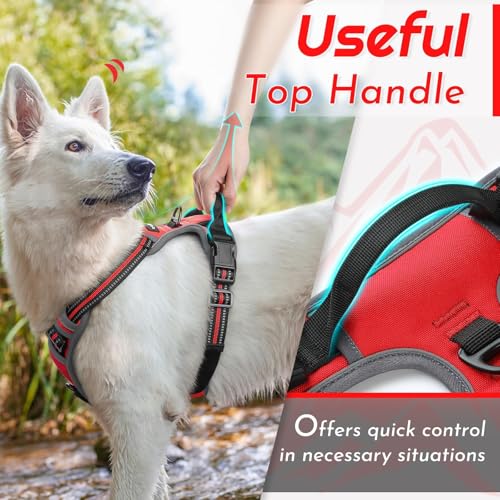Image of Eagloo Dog Harness for Small Dogs, No Pull Pet Vest with 2 Leash Clips