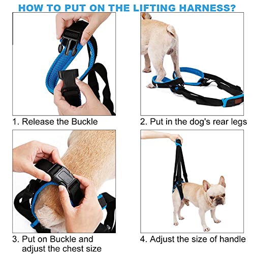 Rozkitch Pet Dog Support Harness Rear Lifting Harness Veterinarian Approved For Old K9 Helps With Poor Stability, Joint Injuries Elderly And Arthritis Acl Rehabilitation Rehab M #TOP5