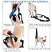 ROZKITCH Pet Dog Support Harness Rear Lifting Harness Veterinarian Approved for Old K9 Helps with Poor Stability, Joint Injuries Elderly and Arthritis ACL Rehabilitation Rehab L Blue