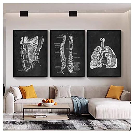 DLFALG Mänsklig anatomi konstverk medicinsk klinik vägg bild skelett organ muskelsystem vintage canvas tryck kropp utbildning affisch – 40 x 60 cm x 3 utan ram