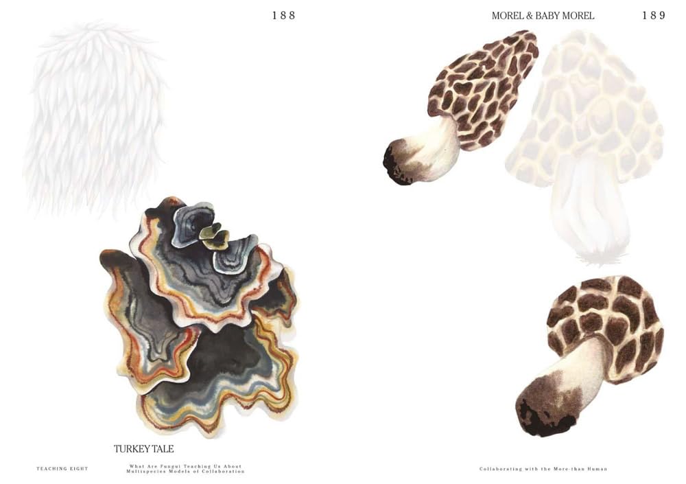 Let's become fungal!: mycelium teachings and arts