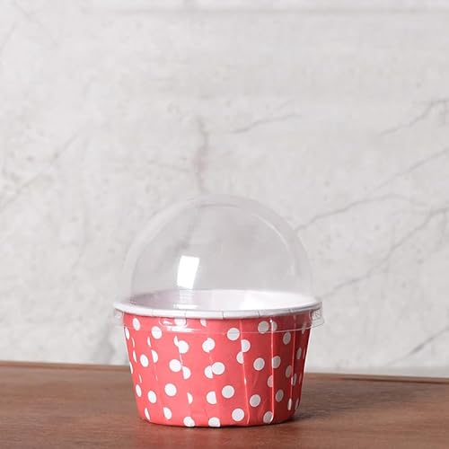 Tufduzo^thD]100 Wtʖ͗l̃JbvP[LCi[ AĝĂ̑ϖJbvP[LCi[Ax[LO^ (14)