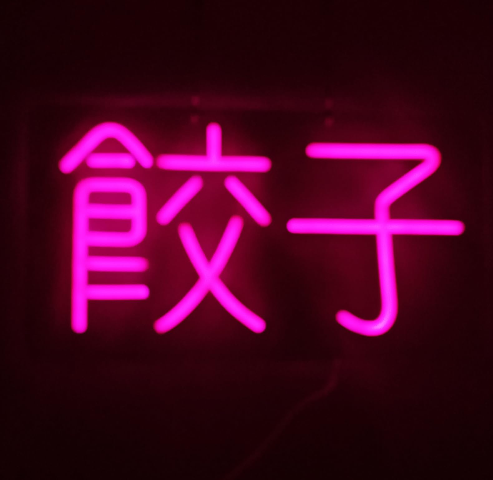 Amazon.co.jp: 「縁錦∞Enえんきki」ネオンライト 餃子 LED ネオン