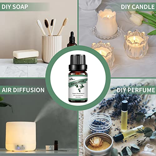 Airoomoil Eucalyptus Oil, Pure Eucalyptus Essential Oils For Diffuser, Skin Care, Diy Soap And Candles - 10Ml. #TOP3