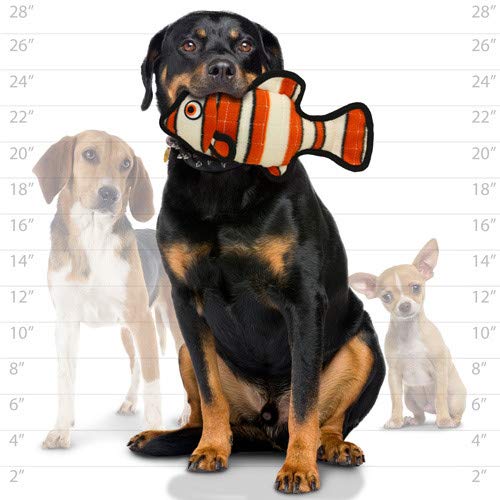 Tuffy - World's Tuffest Soft Dog Toy - Ocean Stingray - Squeakers - Multiple Layers. Made Durable, Strong & Tough. Interactive Play (Tug, Toss & Fetch). Machine Washable & Floats. (2 Combo Pack) #TOP6