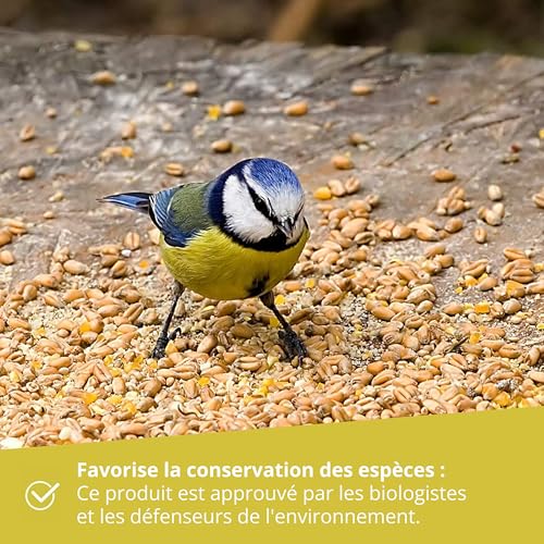Wildtier Herz | Mangeoire Oiseaux Exterieur en Bois - Maison Oiseaux, Distributeur Suspendu Imperméable D’extérieur - Mangeoire pour Oiseaux Sauvages Toutes Saisons. – Image 5