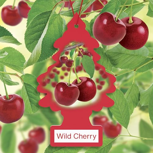 Image of LITTLE TREES Car Air Freshener | Hanging Tree Provides Long Lasting Scent for Auto and Home | 24 Air Fresheners |Wild Cherry
