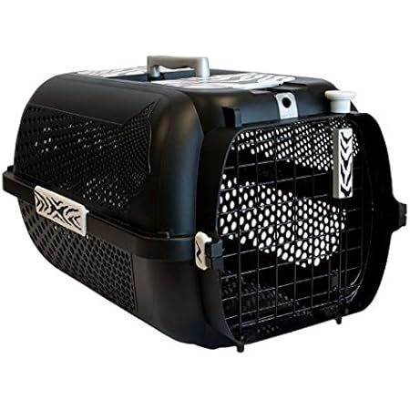 black cat carrier