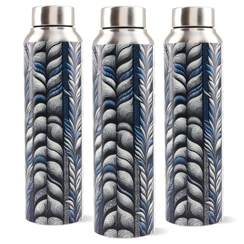 The Better Home Steel Water Bottle|Water Bottle For Kids School | Water Bottle For Home | Leak- Proof BPA Free | Gym Water Bottle | Water Bottle For Office | Aesthetic Water Bottle