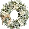 Idyllic 20 Inch Lambs Ears Leaves Everyday Wreath with Ivory Hydrangea and Cream Berries Spring Summer Greenery Wreath with Burlap Ribbon Bow Knot for Doors Rustic and Farmhouse Style Home Decor