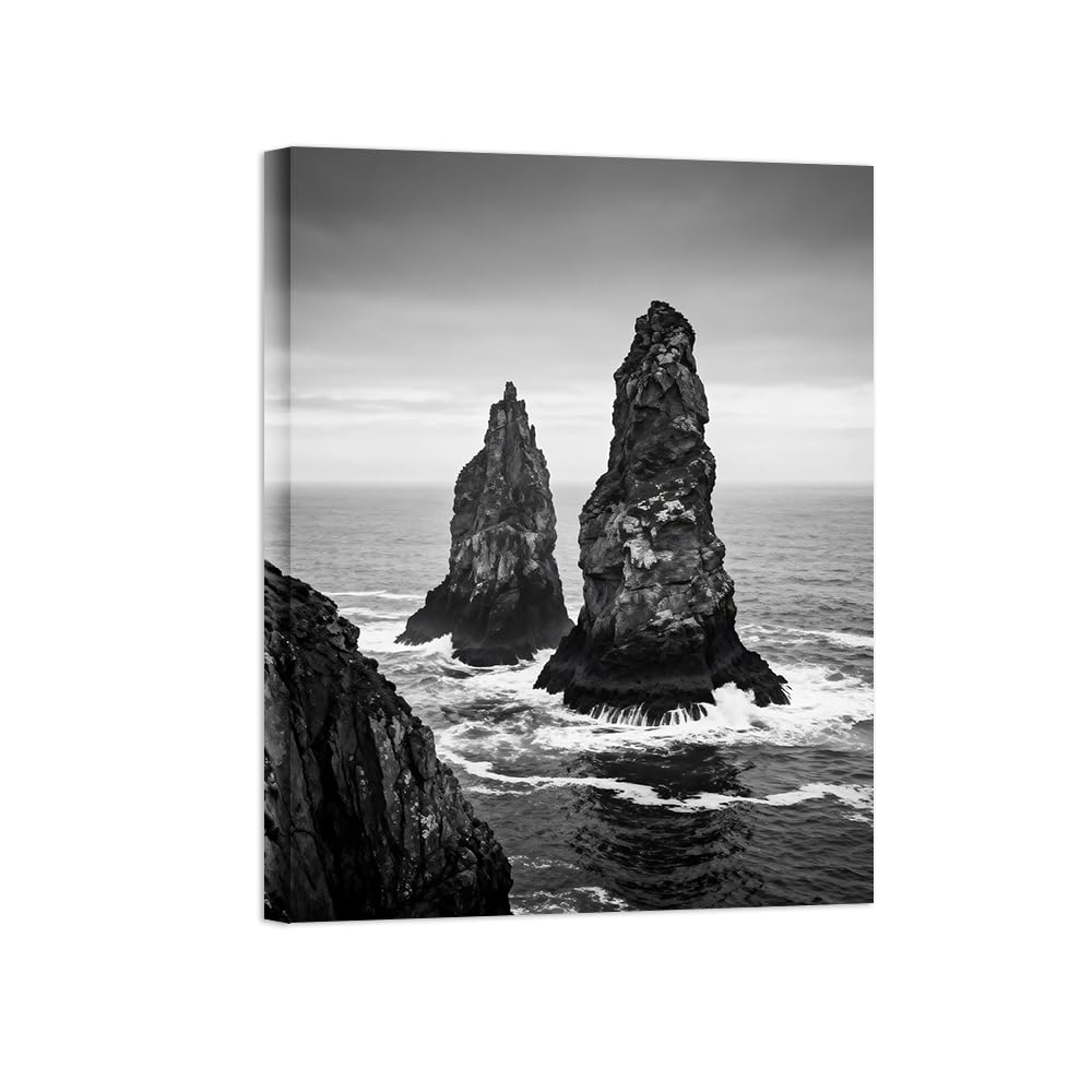 OZPWBVY Sea Rocks Black White Landscape Wall Art Prints 80x105cm Framed