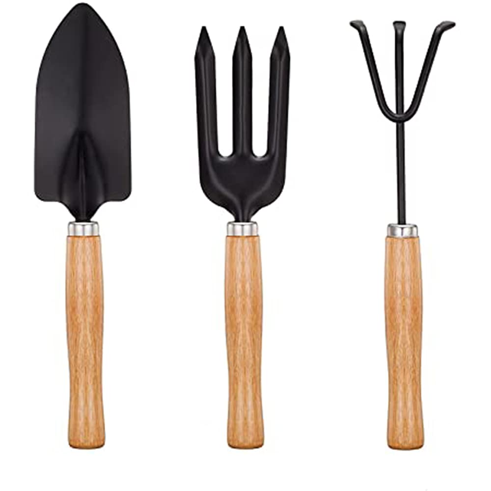Amazon.co.jp: ミニガーデンツール 3本セット 多肉植物ツール 木製
