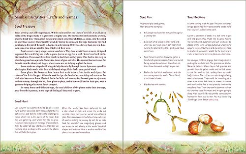 The Children's Forest: Stories & Songs, Wild Food, Crafts & Celebrations All Year Round (Hawthorn Press Early Years) #TOP2