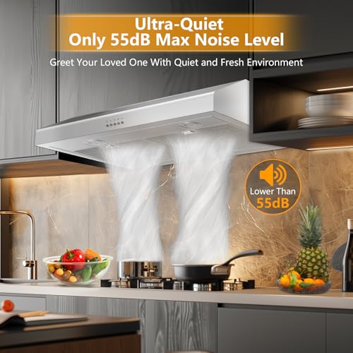 500 CFM Range Hood 30 Inch, Under Cabinet Range Hood for Duct/Ductless Convertible, Stainless Steel Kitchen Stove Vent Hood with 3 Speed Kitchen Exhaust Fan and Two Bright Energy-Saving LED Light