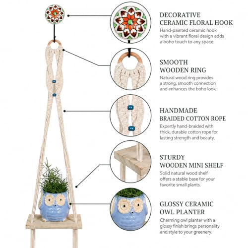 Image of Kaameri Bazaar Macrame Boho Braid Mini Shelve with Owl Shaped Planter (Blue) and Ceramic Hook - Macrame wall Hanging l owl Planter Pot