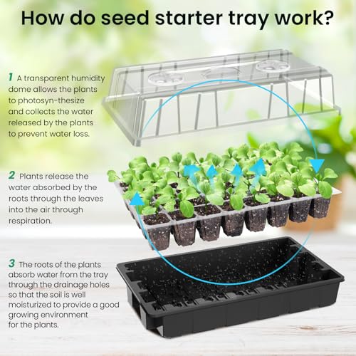 Image of MIXC Seed Starter Tray with Lights, 2 Packs Mini Propagator Plant Grow Kit Greenhouse with Humidity Vented Domes and Base for Seeds Starting, Black