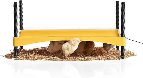 Brinsea Ecoglow Safety 1200 - Plato para criar pollos o patitos, altura ajustable y ángulo, ideal para gallineros, aves de corral, calefacción con