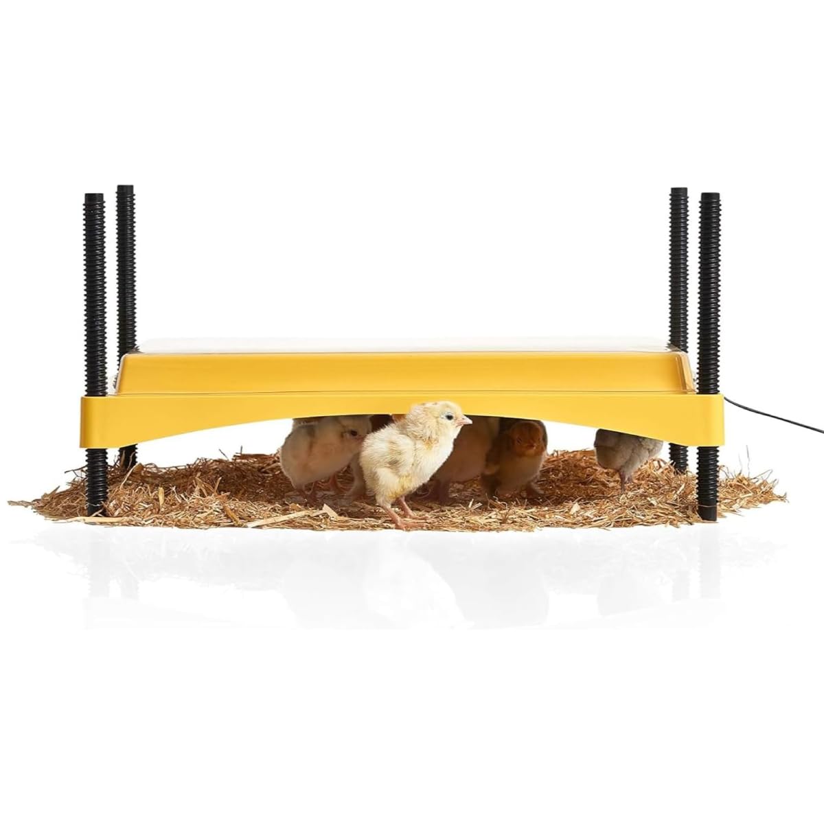 Couveuse pour poussins ajustable avec indicateur de sécurité Brinsea - 8